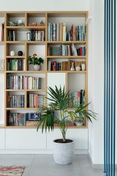 a potted plant sitting in front of a bookshelf