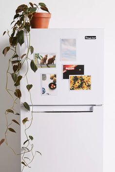 a white refrigerator with magnets and pictures on the door next to a potted plant