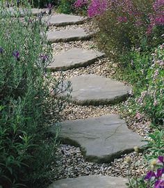 a stone path surrounded by purple flowers and greenery