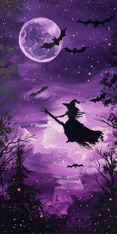 a painting of a witch flying in the night sky