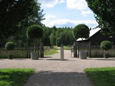 a gravel path leading to a gated in area with trees