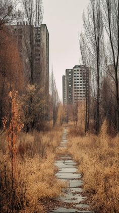 an empty path in the middle of a field with tall buildings in the back ground