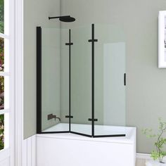 a corner shower stall with glass doors and black handles in a white room next to a potted plant