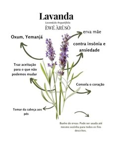 Herbs For Manifesting, Lavender Incense Benefits, Lavandula Grosso, Magia Das Ervas, Witch Garden, Magic Herbs, Herbal Magic, Season Of The Witch, Green Witch