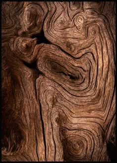 the wood grains are very intricate and interesting to look at in this photo, it is