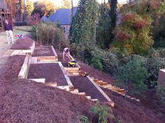 people are working in the garden with wooden steps and raised planters on each side