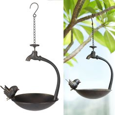 two bird feeders hanging from a tree branch and one has a bird on it