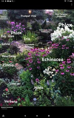 the names of different plants and flowers in front of a house with words written on them