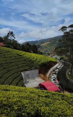 cars parked on the side of a road in front of a hill covered with tea bushes