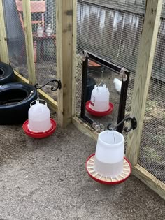 the chickens are looking at their own reflection in the chicken coops mirrors and feeders