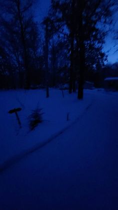 a snowboarder is going down a snowy path at night with trees in the background