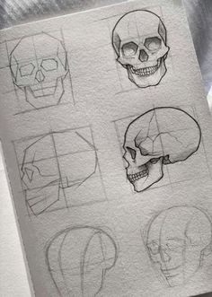 a bunch of different types of skulls drawn on top of a piece of white paper