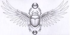 a drawing of an insect with wings