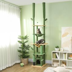 a cat sitting on top of a tall green tree in a living room next to a potted plant