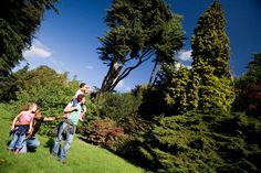 Westonbirt Arboretum, near Tetbury in Gloucestershire, is renowned worldwide both for its tree and shrub collection and beautifully landscaped grounds