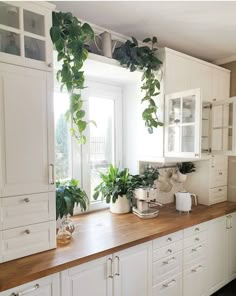 a kitchen with white cabinets and plants on the counter top in front of a window