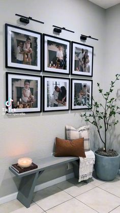 a room with pictures on the wall and a bench next to a potted plant