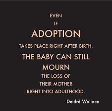 an image with the quote even if adoption takes place right after birth, the baby can still mourn