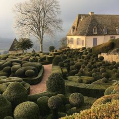 a house is surrounded by hedges in the foreground and trees on the far side