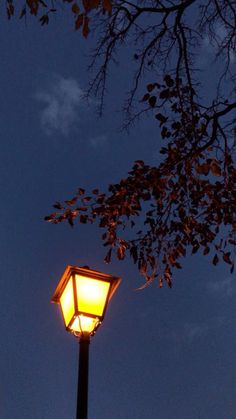 a lamp post with a tree in the background at night under a cloudy blue sky