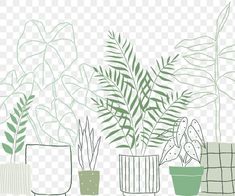 three potted plants with green leaves in them on a transparent background, hd png