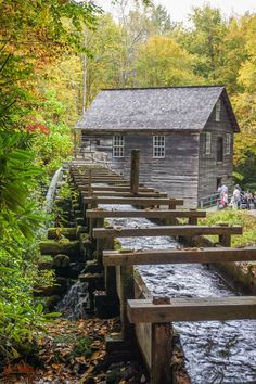 a small wooden building sitting on top of a lush green forest next to a river