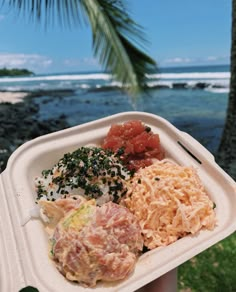 a person holding up a plastic container with food in it on the beach and palm trees