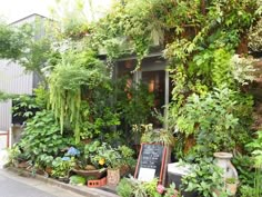 an assortment of plants are growing on the side of a building with a chalkboard sign