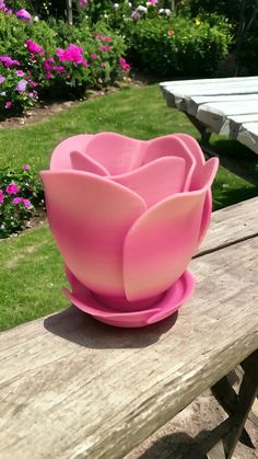 a pink bowl sitting on top of a wooden bench