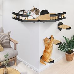 two cats are playing with each other on the cat scratch board wall mounted to the wall