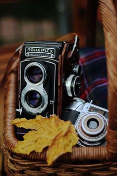 an old camera sitting in a wicker basket next to a plaid blanket and autumn leaves