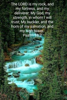 the lord is my rock, and my fortress, and my deliverr, my god, my strength, in whom i will trust