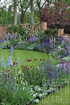 the garden is full of flowers and trees