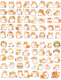 an orange and white cat sticker sheet