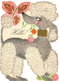 a greeting card with an image of a poodle