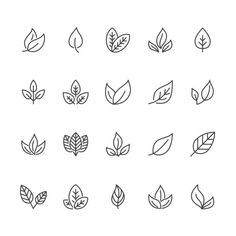 leaves line icons on white background