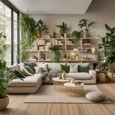 a living room filled with furniture and lots of plants on the shelves above it's windows