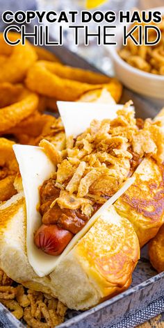 there is a hot dog with toppings on it and some fried onion rings in the background