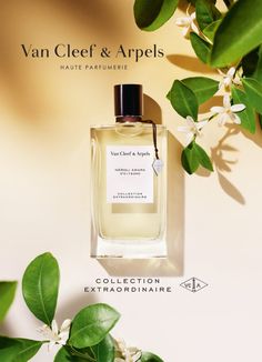 a bottle of van cleef & ampels cologne next to some green leaves