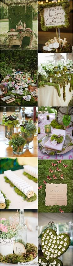 many different pictures of flowers and plants in vases on the ground, with words above them