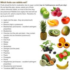 fruits and vegetables are shown in this chart