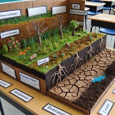 a science project with soil, plants and dirt on the table in front of classroom desks