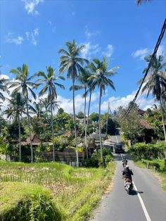 two motorcyclists are riding down the road in front of some palm trees