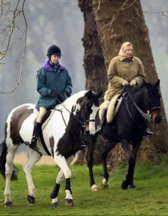 two people riding on the backs of horses in a field next to a large tree