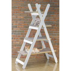 a cat sitting on top of a step ladder next to a teddy bear and stuffed animal