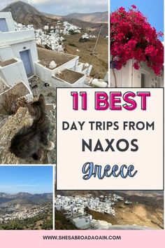 4 photos of cyclades islands, 1st a kitten overlooking the whitewashed houses and mountains in the distance, 2nd a bright pink flower tree next to a white house, 3rd a view of a cluster of white houses in naxos mountains and 4h a cluster of whitewashed houses and dry mountains around the village + text 11 best day trips from naxos greece Greece On A Budget, Greece Island Hopping, Greek Isles Cruise, Things To Do In Greece, Greek Islands To Visit, 1 Day Trip, To Do In Greece, Naxos Island, Naxos Greece