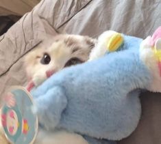 a cat laying on top of a bed next to a blue stuffed animal with a pacifier in it's mouth