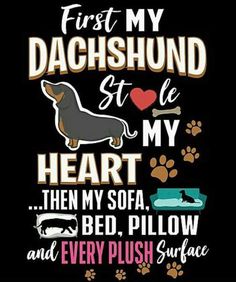 a black and brown dachshund is on the back of a t - shirt