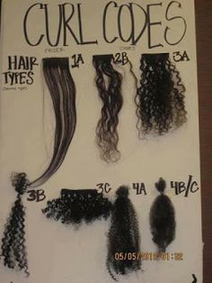 1 of the most visually definitive Hair typing charts I have seen - I think my hair is 4a what is yours? Hair Texture Chart, Hair Type Chart, 3a Hair, Curly Hair Types, Different Hair Types, Black Hair Care, Natural Hair Tips