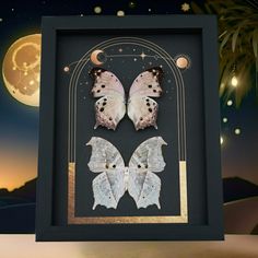 two butterflies in a shadow box with the moon and stars above them on a night sky background